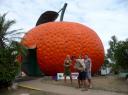 The Big Mandarin