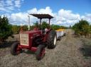 Onze tractor...
