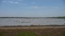 Mamukala Wetlands