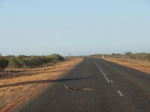 Monitor on the road