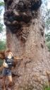 Idd een giant