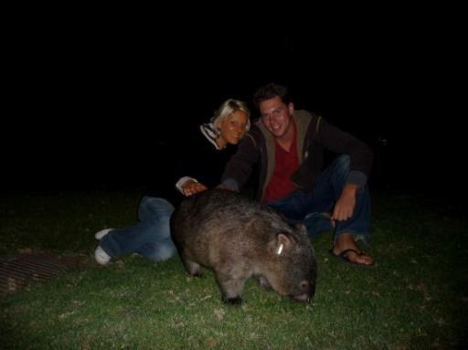 Samen met een wombat