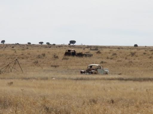Zo zie je veel auto's in de Outback