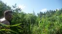 Jungletocht naar Jungle Beach