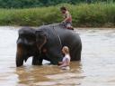 toch wel immens zo'n olifant... :-|