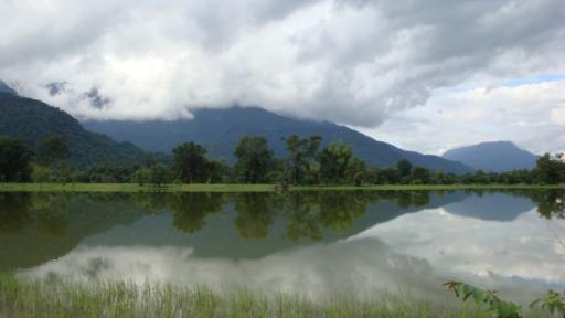 Het park bij Wat Phu Champasak