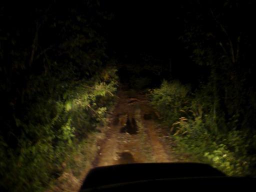 Nachtsafari