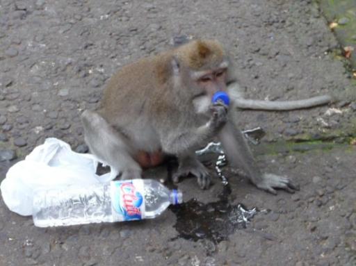 Fles uit handen van Ing gejat... :-)