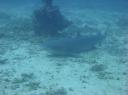 Op zo'n 3m afstand... Shark!!