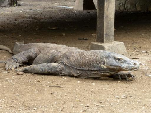 Just chilling ;-)