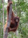 Just hangin'