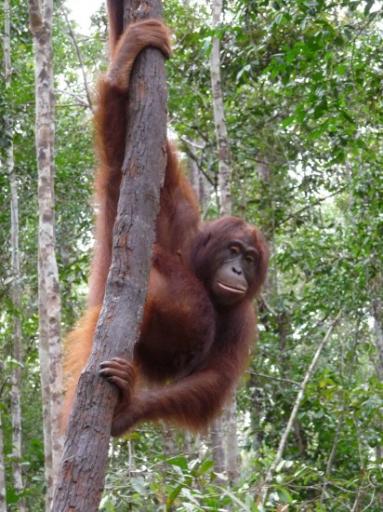 Just hangin'