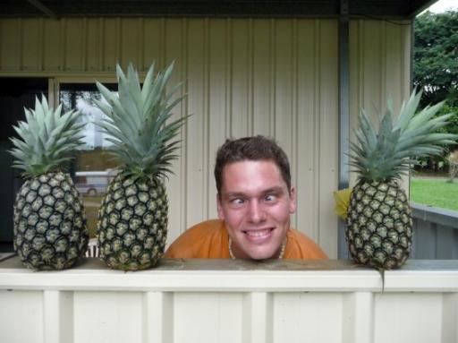 Na 3 dagen pineapples plukken!!