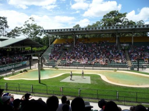 In het Crocoseum