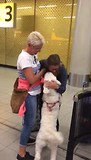 op schiphol