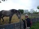 Ingrid met paard onderweg