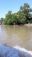 Mekong delta