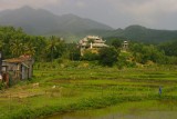IMGP2003