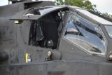 Royal International Air Tattoo 114