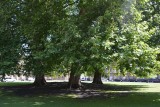 Bath 017