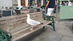 20160818_121851