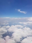 20170709_142240_resized