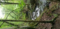 Watervalletje 2