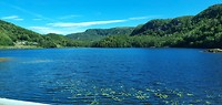 IMG-20190715-WA0005