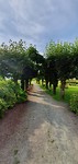 IMG-20190718-WA0006