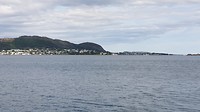 20190722_113509