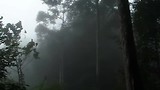 En toen begon het te regenen, halverwege de track