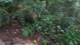 Het wandelpad tijdens de track 2