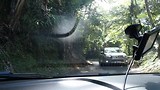 Hindernis rijden op weg naar Mossy Forest, spannend maar wel leuk