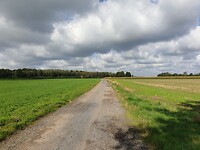 Vergezicht