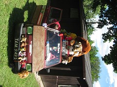 Knuffels