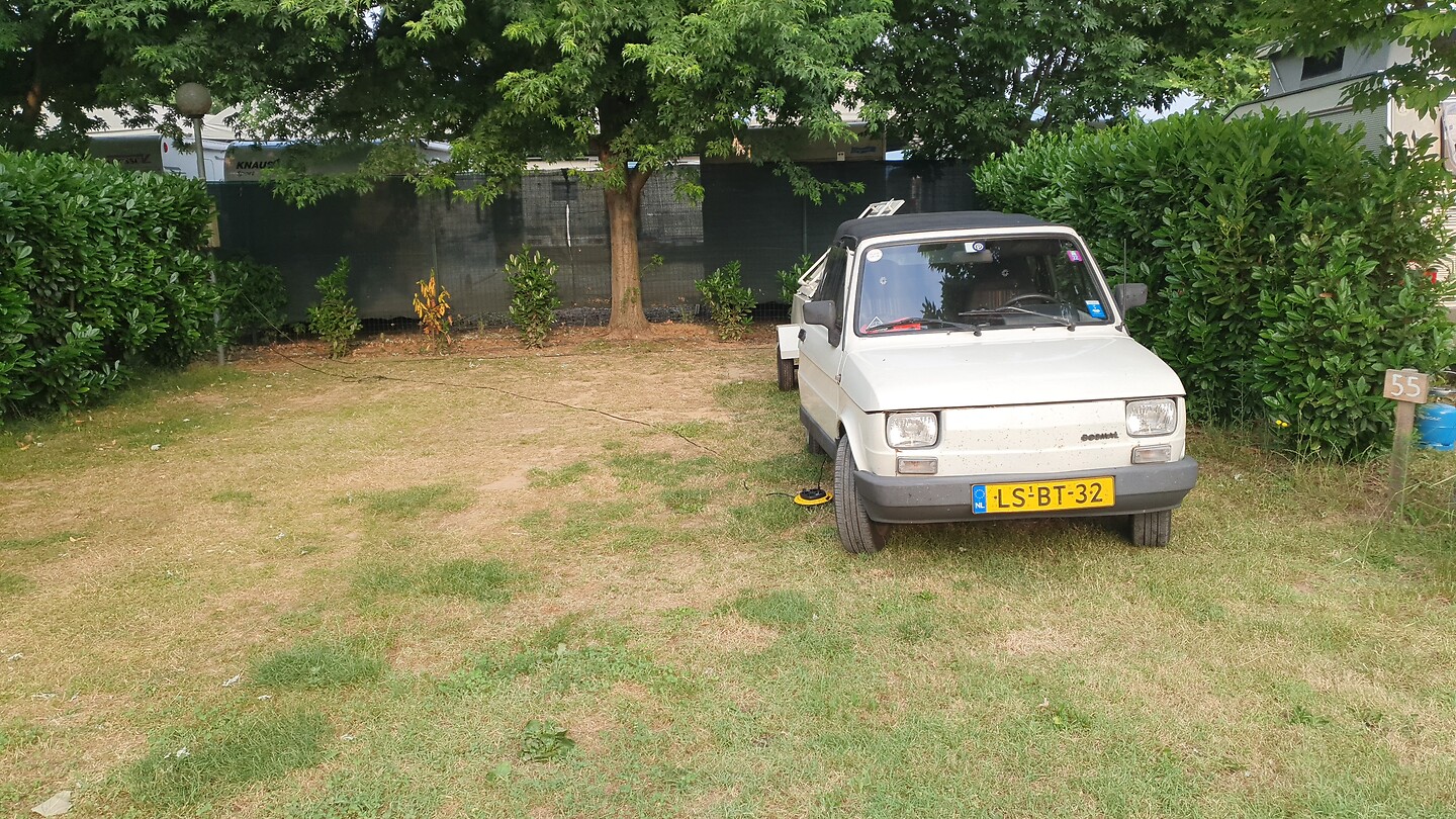 IMG-20220615-WA0000