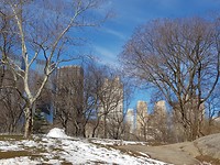 Central Park