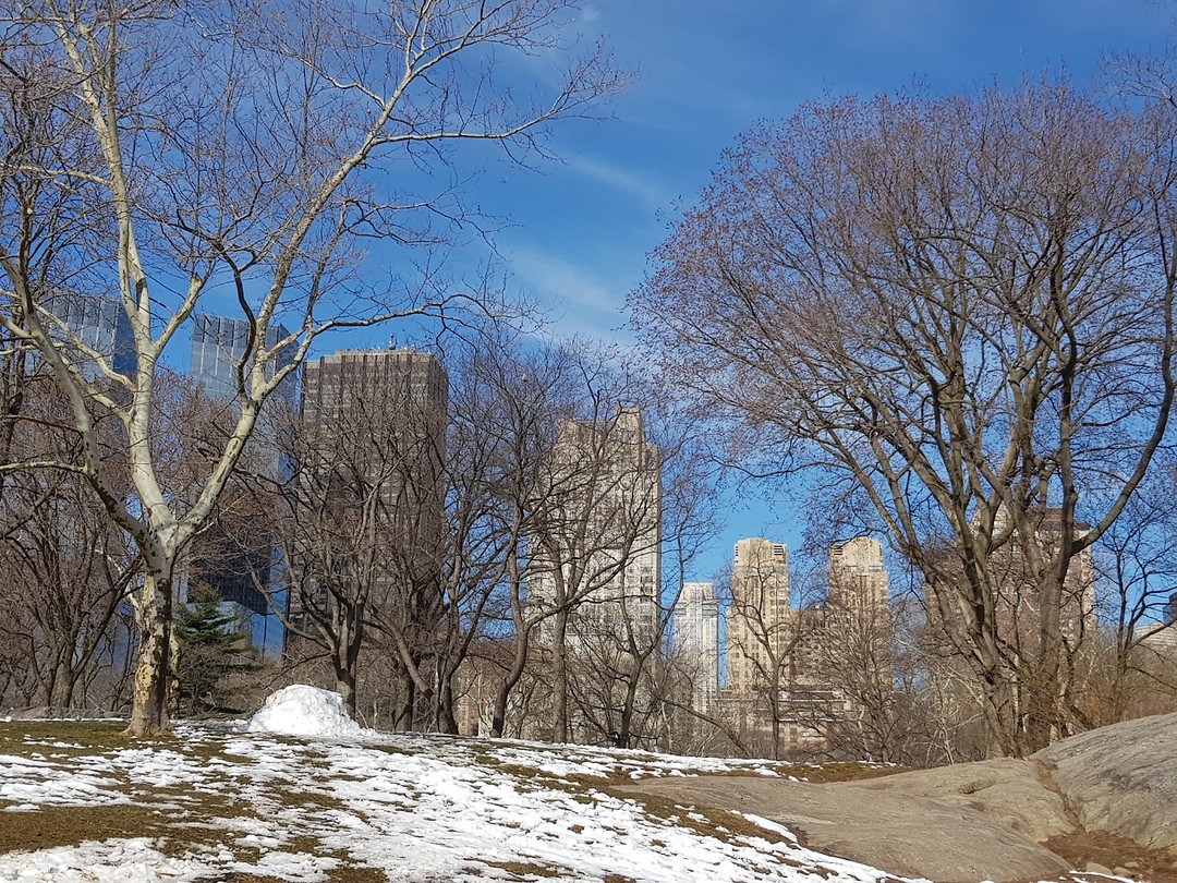 Central Park