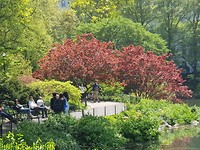 Central Park