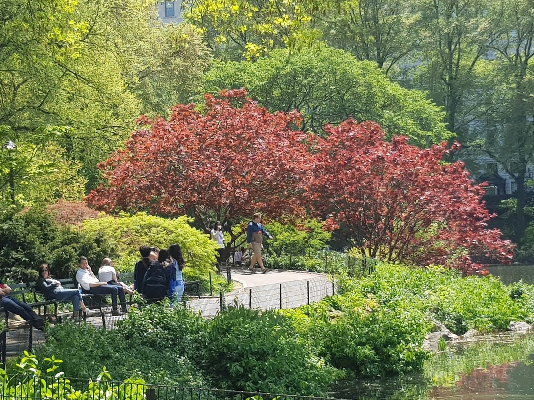 Central Park