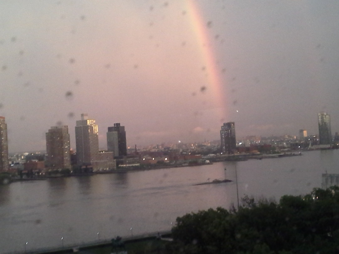 Regenboog