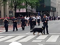 Uiteraard veel politie op de been