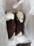 Carlo's Bake shop