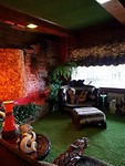 De Junglekamer
