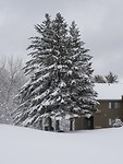 Mooie verse sneeuw in Vermont