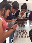 IMG_2425
