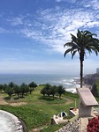 IMG_2516