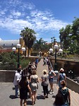 IMG_2518