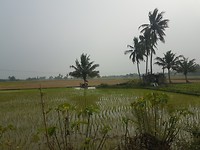 20190117_150737