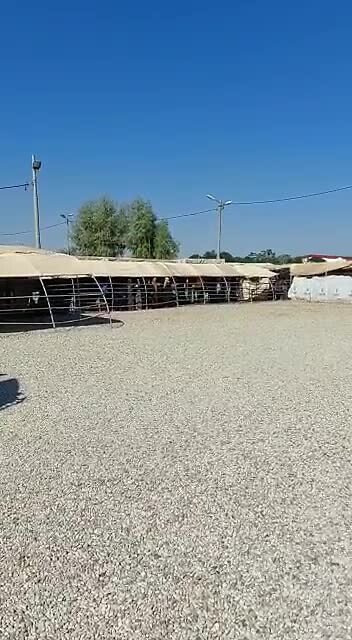 VID-20221025-WA0096